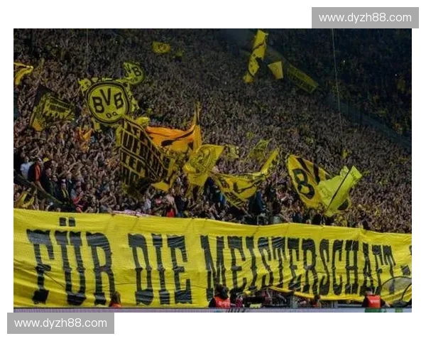 深度解讀澳大利亞足球聯賽發展趨勢與未來前景分析全面觀察報告篇